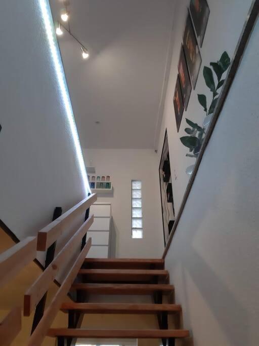 Bello Apartamento Graben-Neudorf Dış mekan fotoğraf